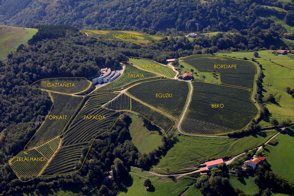 K5 Pilota Txakoli 2024