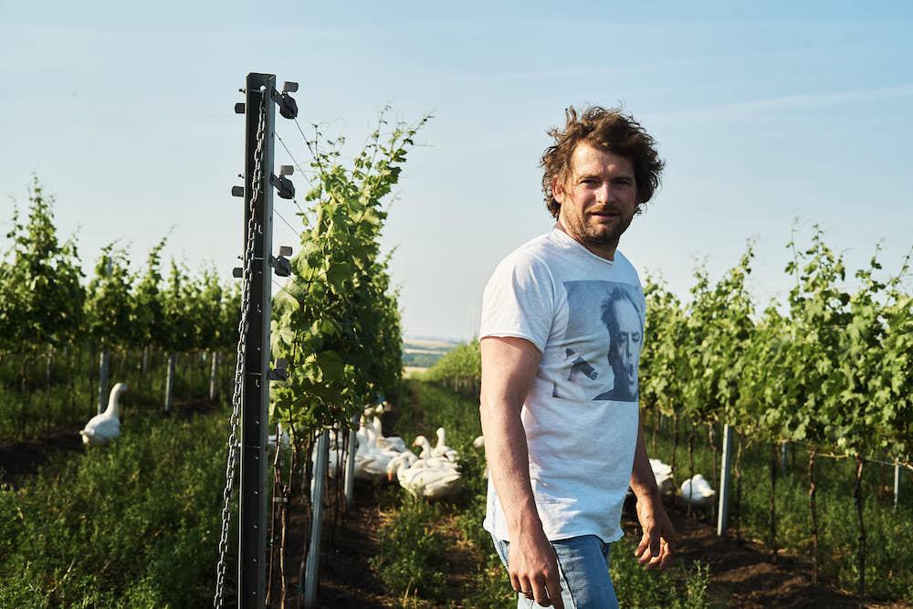Weingut Herbert Zillinger