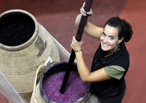 Sierra de Tolono La Dula Garnachas de Altura 2023