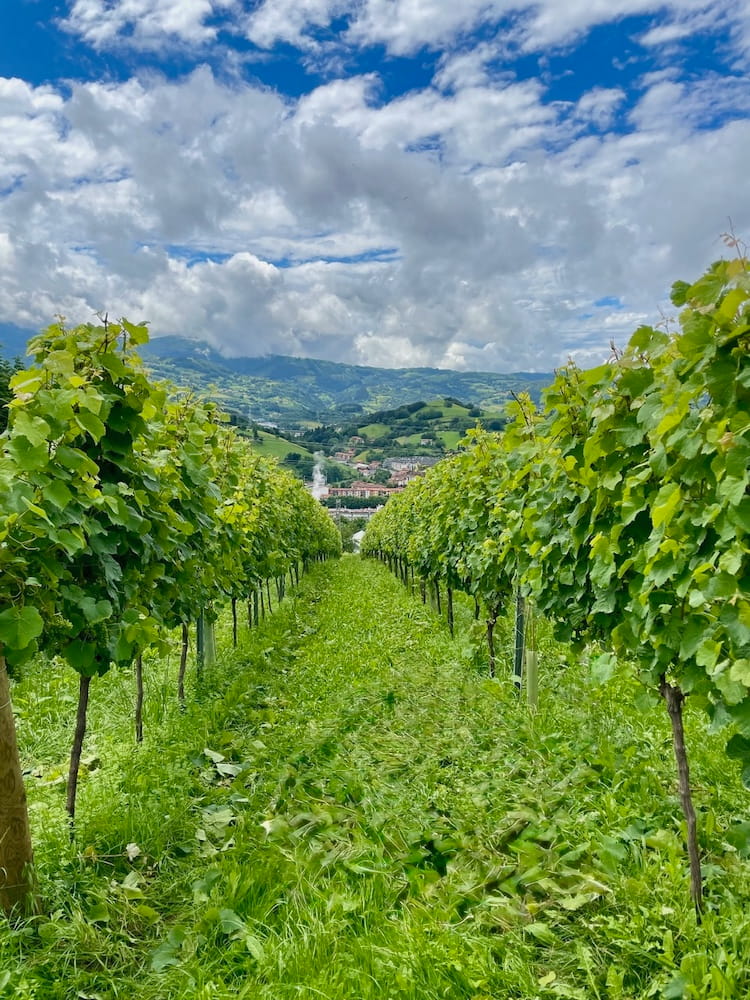 Hika Txakoli