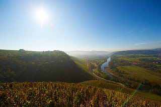 Van Volxem Wiltinger Gottesfuß Alte Reben Riesling Grosses Gewächs 2020