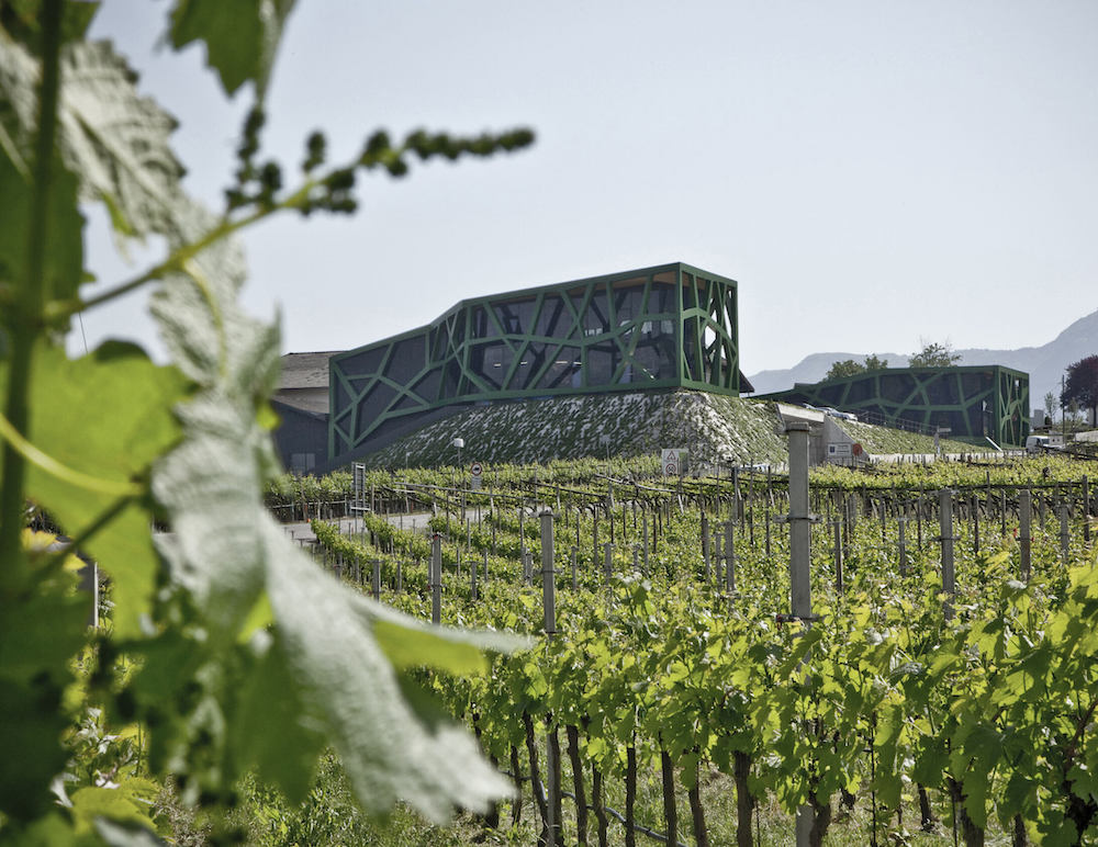 Tramin Sauvignon Blanc