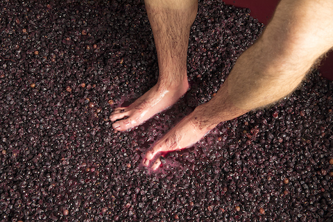 Jose Gil Paraje El Bardallo Rioja tinto 2024