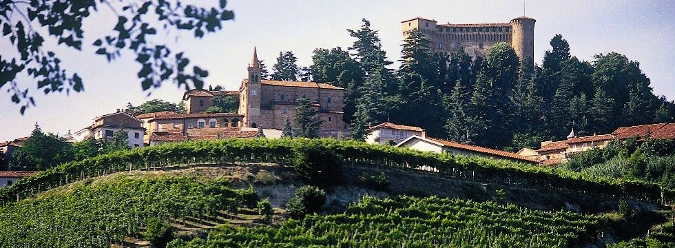 Vite Colte Villalta Roero Arneis