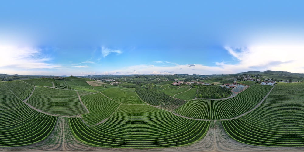 Fratelli Revello Barolo Vigna Gattera 2020