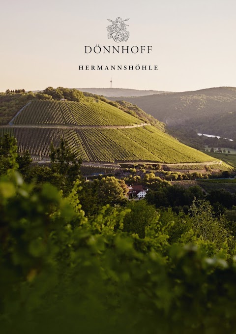 Dönnhoff Niederhäuser Hermannshöhle Riesling GG 2024