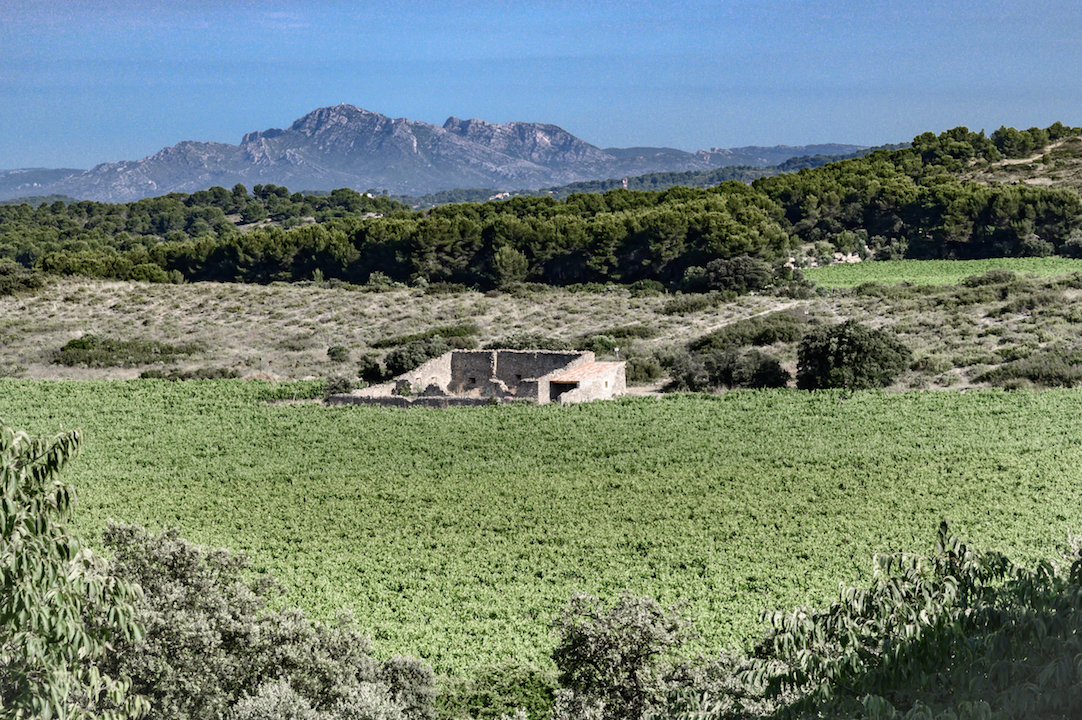 Domaine La Cadenière Léonie Coteaux d´Aix en Provence Rosé BIO