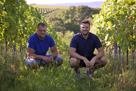 Weingut Baum-Barth