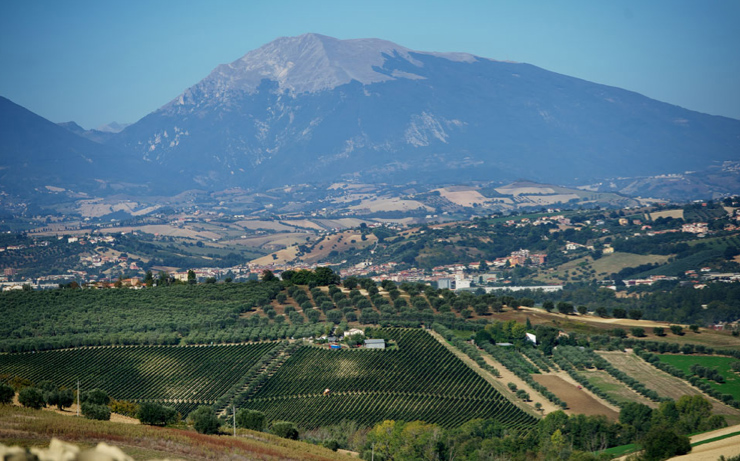 Farnese-Sangiovese-Terre-di-Chieti-1.jpg