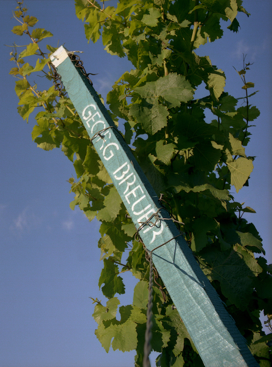 Georg Breuer Pfaffenwies Lorch Riesling 2021