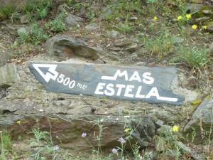 Mas Estela Selva de Mar